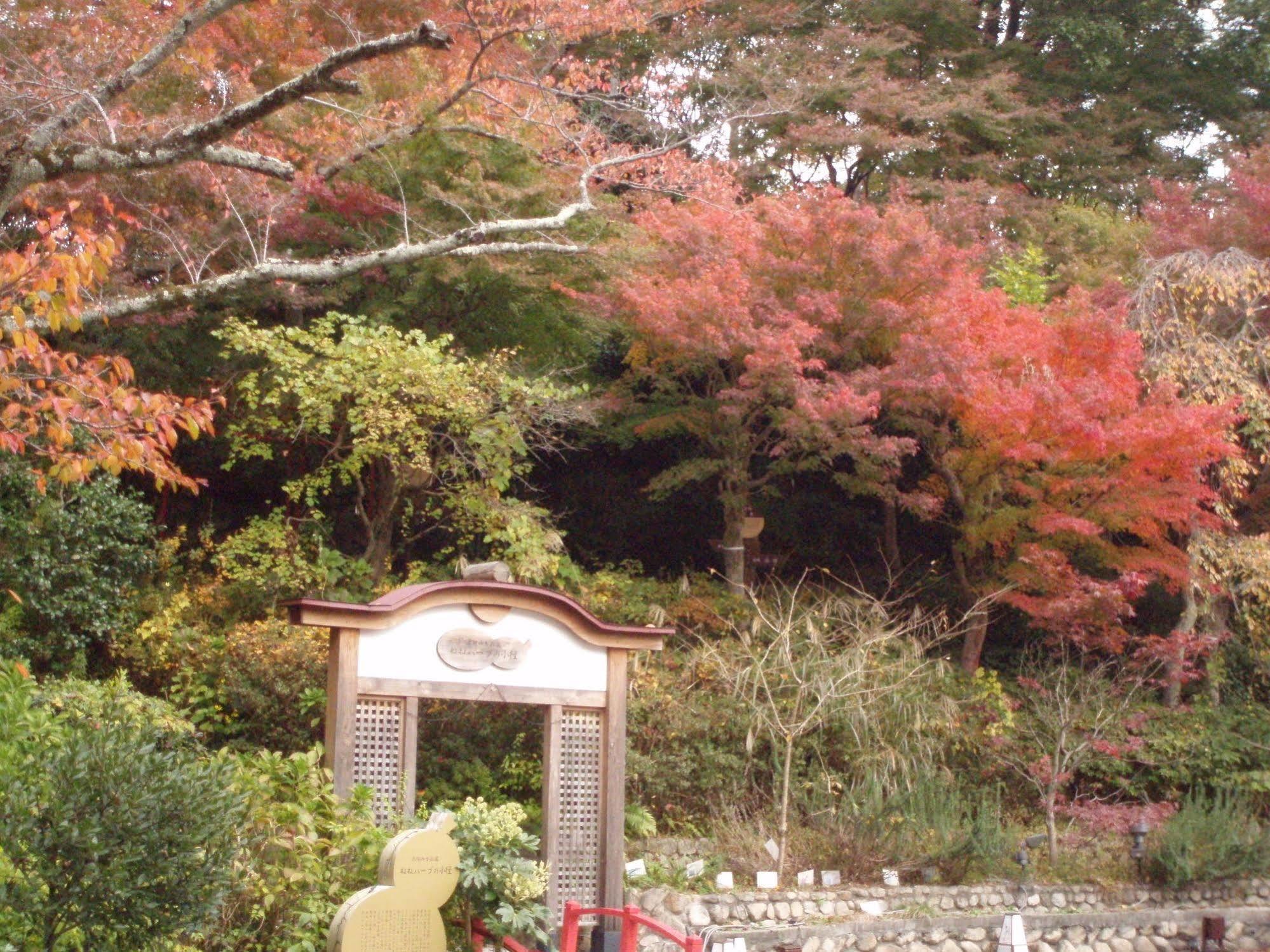 Arima Kirari Kobe